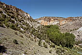 Hoces del ro Riaza, Montejo Spagna.